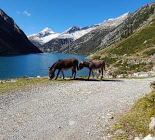 Wandern Kaltenbach
