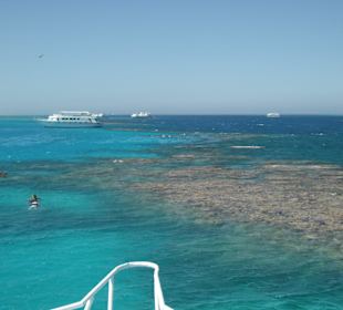 Ausflug zum Schnorcheln