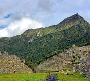 Machu Picchu