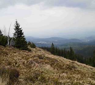 Berg Schneekoppe/Śnieżka