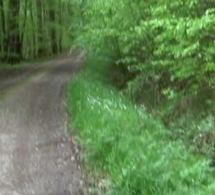 Naturpark Schönbuch