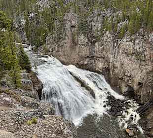Yellowstone Nationalpark