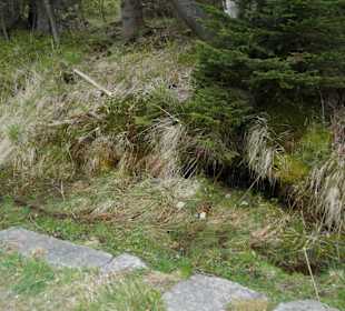 Berg Schneekoppe/Śnieżka