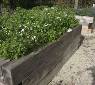 Kneippscher Kräutergarten