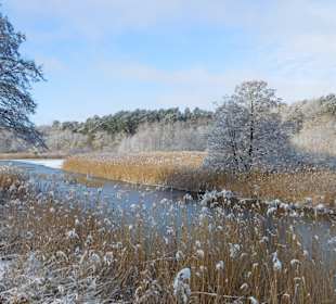 Gartenanlage
