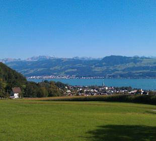 Ausblick vom Sunshine Hill auf den Zürichsee