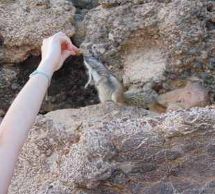 Местные жители