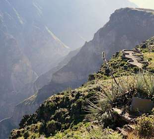 Kanion Colca