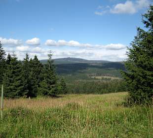 Nationalpark Harz