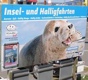 Werbung für die Ausflüge