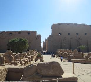 Ausflug Luxor, Karnak Tempel - Toll