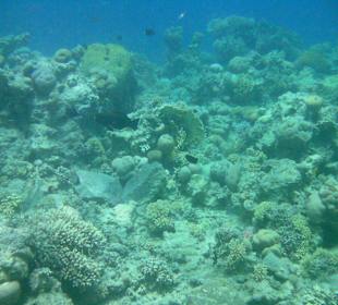 Sharm el Naga