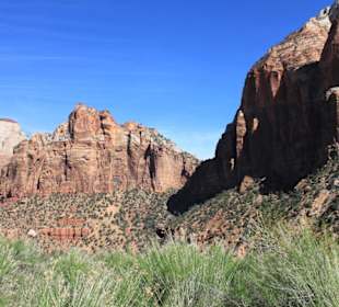 Im Zion Nationalpark