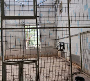 Im Giraffenhaus Stinkt etwas