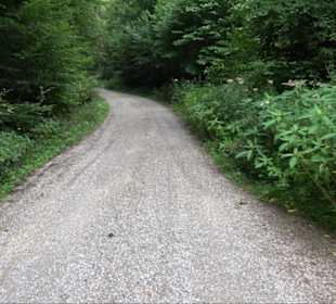Sonnenaufgangs-Rundwanderung Rübgarten