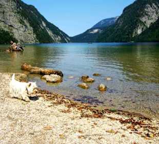 Blick über dem Königssee