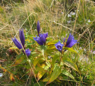 Wandern St. Kathrein am Offenegg