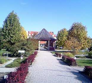 Botanischer Garten