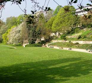 Blick auf die Karlsaue