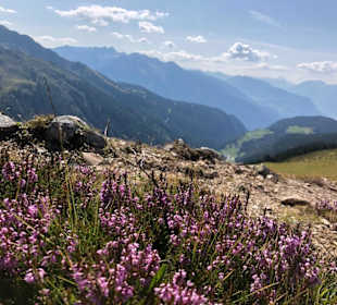 Wandern Ochsengarten