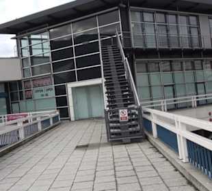 Körperwelten im Menschen Museum