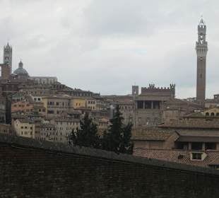 Stare miasto Siena