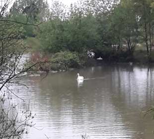 Stadtrundgang Hannover