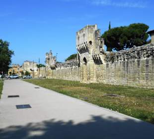 Stadtmauer Avignon