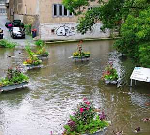Stadt Erfurt im Bild Sept.2010