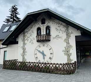Wandern Titisee-Neustadt