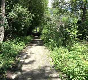 HAP Grieshaber Rundweg