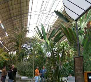 Bahnhof "de Atocha" -Sehenswert!