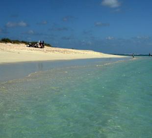 Strand am Ningaloo Reef