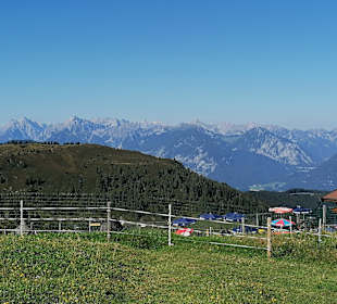 Wandern Alpbach