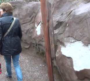 Deep in Africa - Black Mamba