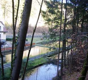 Forellenverkauf
