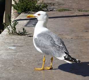 Eindrücke aus dem Hafen von La Ciotat