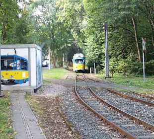Thüringer Waldbahn Tabarz-Gotha kostenfrei 
