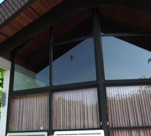 Friedhof Horb am Neckar