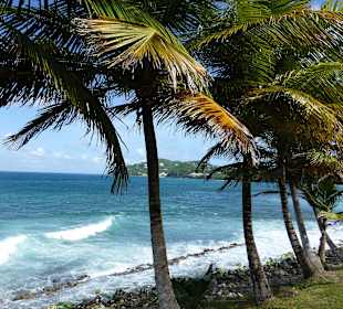 Die wilde Nordseite von Pigeon Island