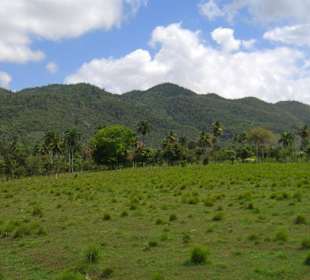 Monster Truck Safari