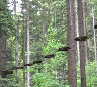 Waldklettergarten Atreenalin Dornstetten-Hallwange