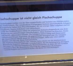 Jura-Museum