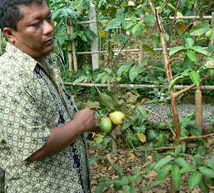 Er weiß was er sagt.