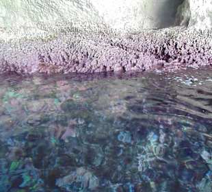 Jasknie Morskie Blue Grotto