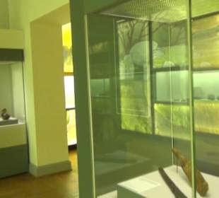 Niedersächsisches Landesmuseum