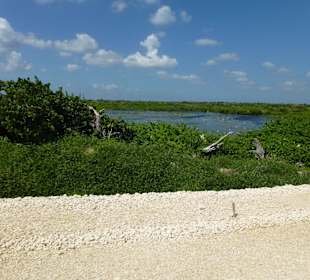 Sicht in das Innnere der Insel