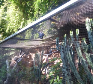 Loro Parque
