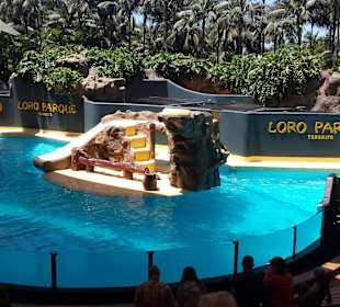 Loro Parque 