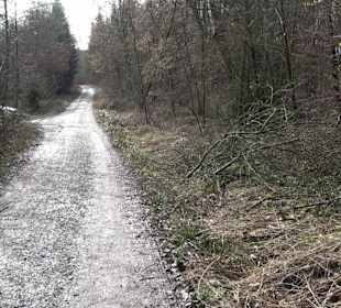 Gomaringer Rundweg - Zu den Giganten im Wald